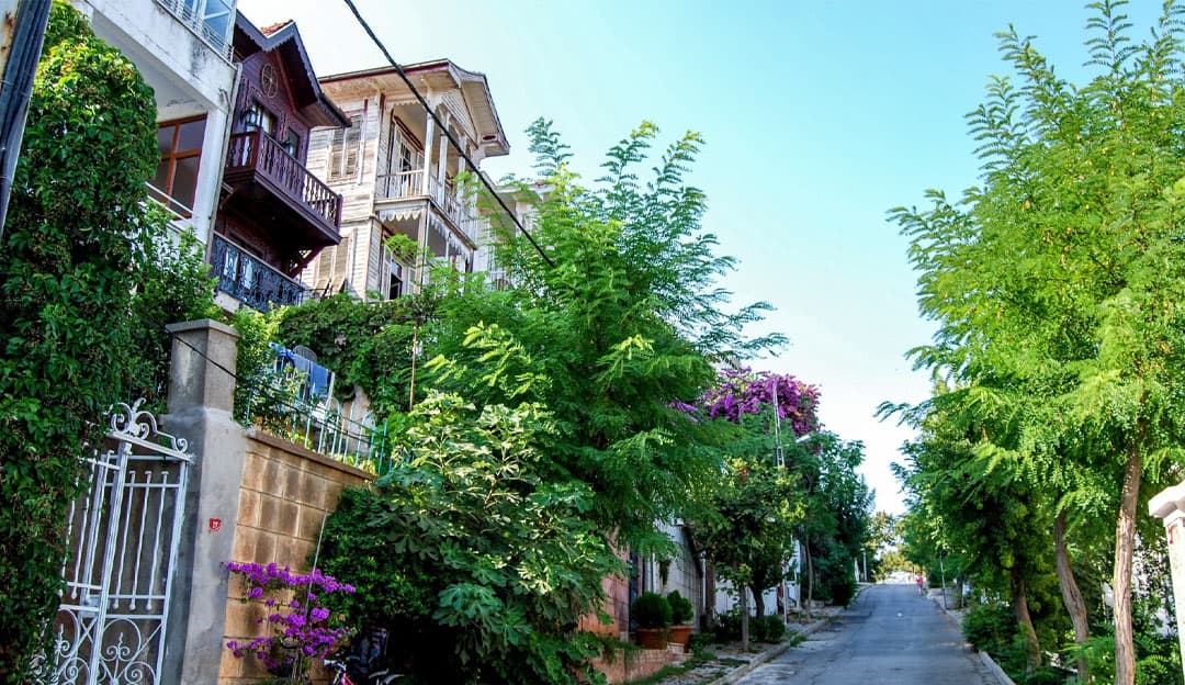 İstanbul Tam Gün Adalar Turu - Büyükada, Kınalıada Öğle Yemeği ve Transfer Dahil 2