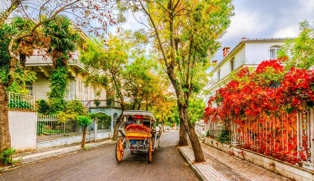 İstanbul Tam Gün Adalar Turu - Büyükada, Kınalıada Öğle Yemeği ve Transfer Dahil 3